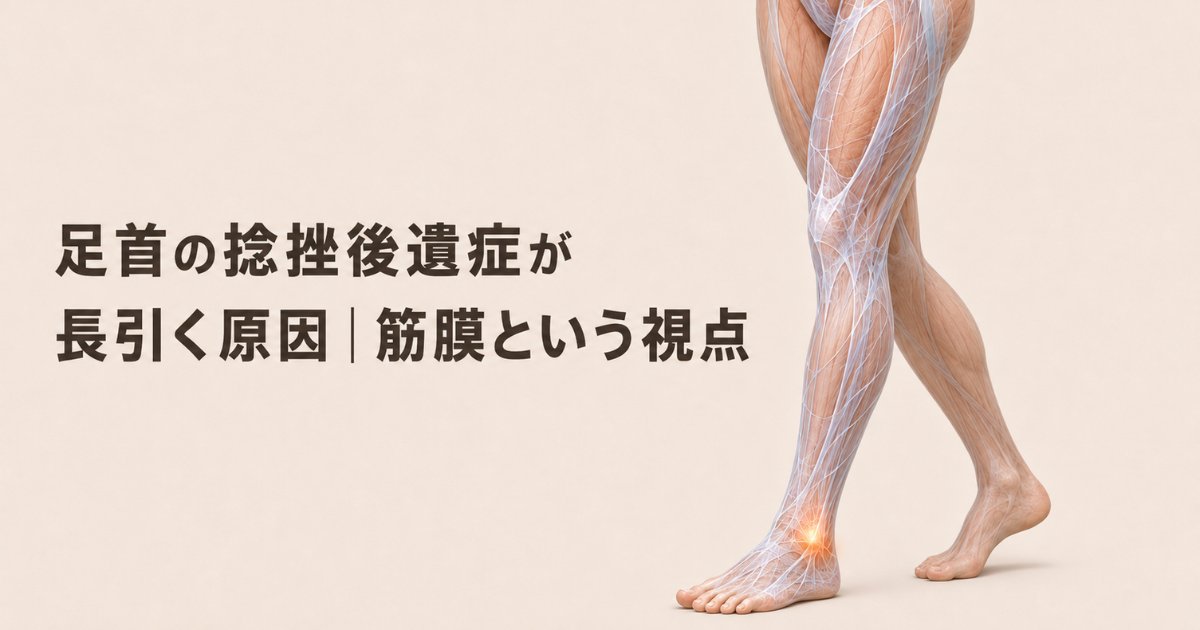 ふくらはぎから足首へ連なる筋膜のラインと、捻挫で痛めやすい外側の足首を示したイラスト